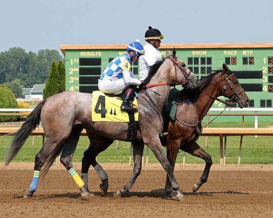 HOOSIER PHILLY - The Monomoy Girl Overnight Stakes - 2nd Running - 06-17-23 - R08 - CD - Post Parade 01