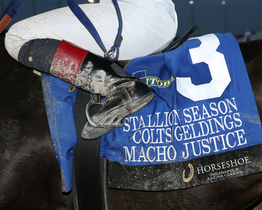 MACHO JUSTICE - ITOBA Stallion Season - 10-11-23 - R09 - Horseshoe Indiana - Saddle Towel 01