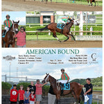 AMERICAN BOUND - 05-27-24 - R01 - MNR