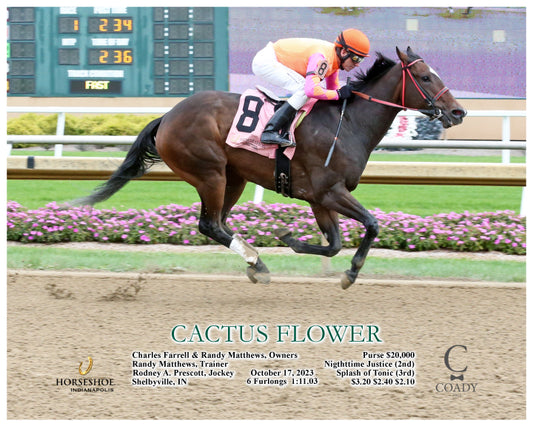 CACTUS FLOWER - 10-17-23 - R01 - IND - action