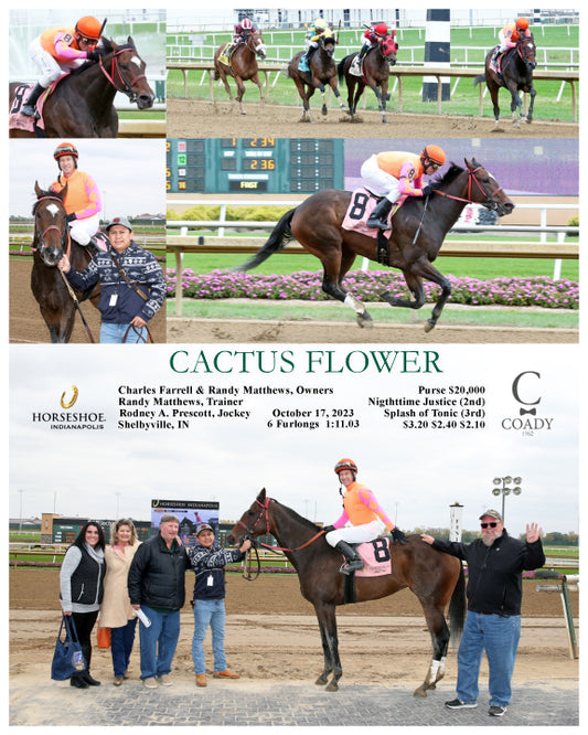 CACTUS FLOWER - 10-17-23 - R01 - IND