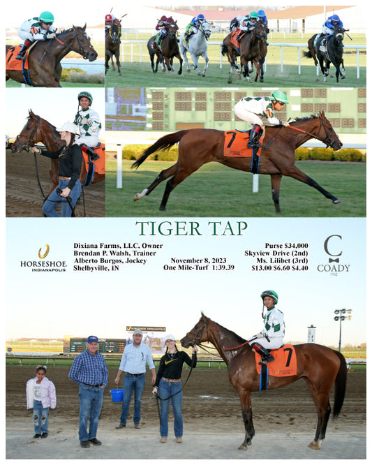 TIGER TAP - 11-08-23 - R05 - IND