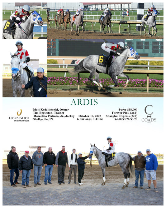 ARDIS - 10-10-23 - R07 - IND