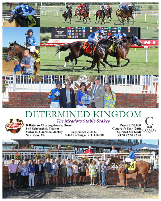 DETERMINED KINGDOM - The Meadow Stable Stakes - 09-02-23 - R07 - CNL