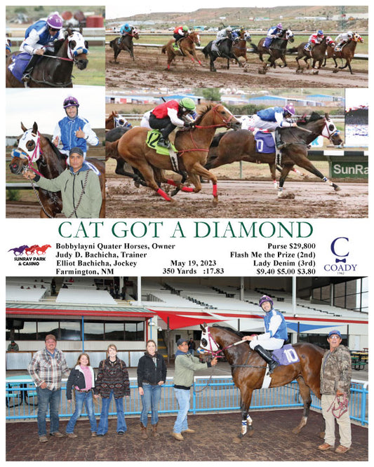 CAT GOT A DIAMOND - 05-19-23 - R09 - SRP
