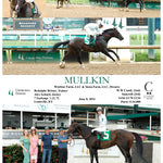 MULLKIN - 06-08-24 - R09 - CD