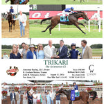 TRIKARI - The Secretariat  - 08-11-24 - R09 - CNL