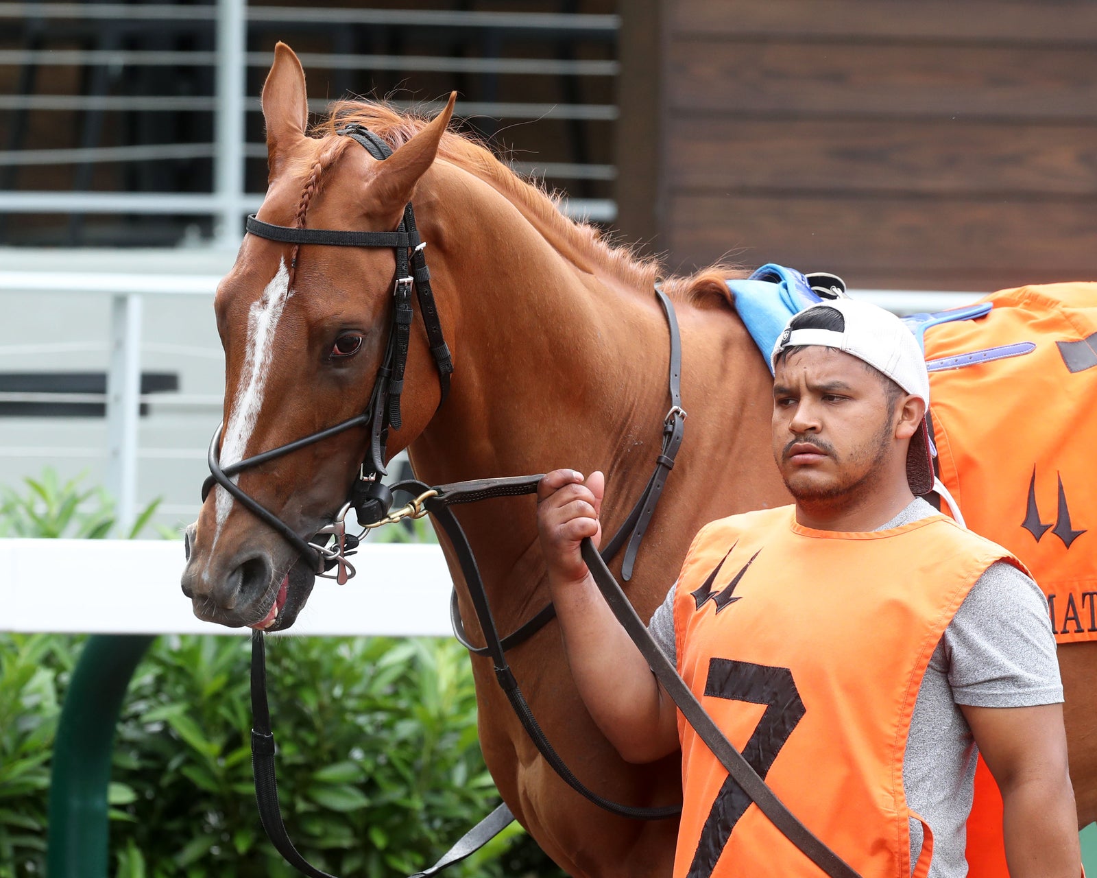 SOCIETY MAN - The Matt Winn G3 - 27th Running - 06-09-24 - R08 - CD - Paddock 01