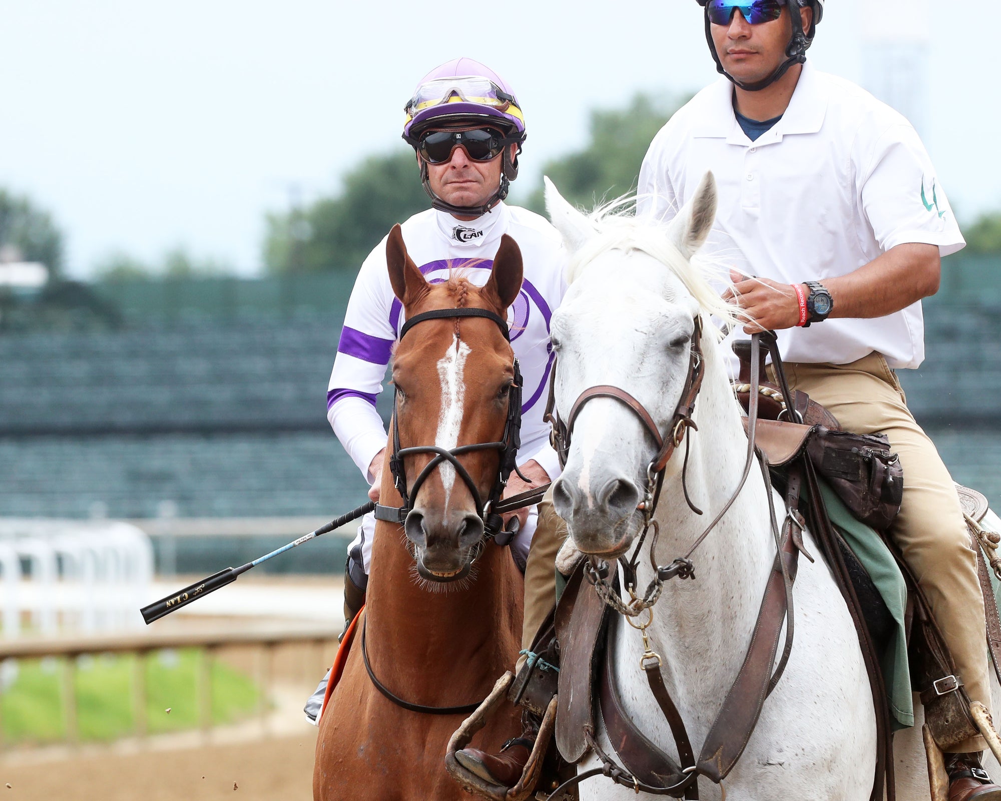 SOCIETY MAN - The Matt Winn G3 - 27th Running - 06-09-24 - R08 - CD - Post Parade 01