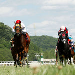 SPELLCAST - 060724 - Race 08 - BTP  Green Carpet Stakes - Under Rail 03