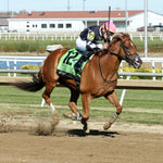 UNBRIDLED SLOPE - Unreachable Star - 5th Running - 10-26-24 - R07 - Horseshoe Indiana - Finish 02 - Devin Hall