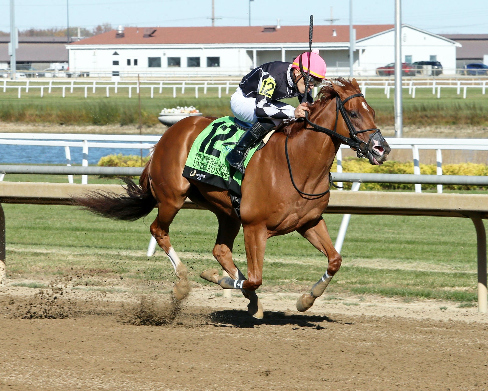 UNBRIDLED SLOPE - Unreachable Star - 5th Running - 10-26-24 - R07 - Horseshoe Indiana - Finish 02 - Devin Hall