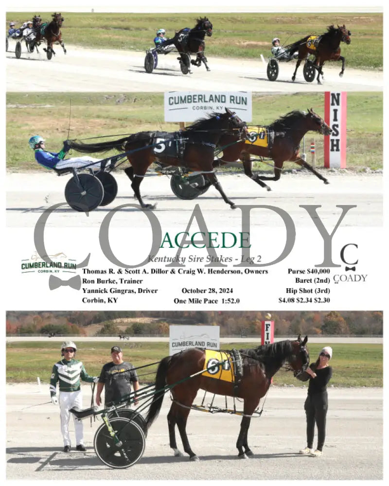 Accede - Kentucky Sire Stakes Leg 2 10-28-24 R01 Clr Cumberland Run