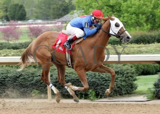 Affirmed Truth - The Rainbow Miss Stakes Oaklawn Park