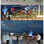 Aguila Del Rio - 05-20-24 R05 Mnr Mountaineer Park