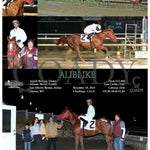 Alibi Ike - 12-10-24 R03 Mnr Mountaineer Park