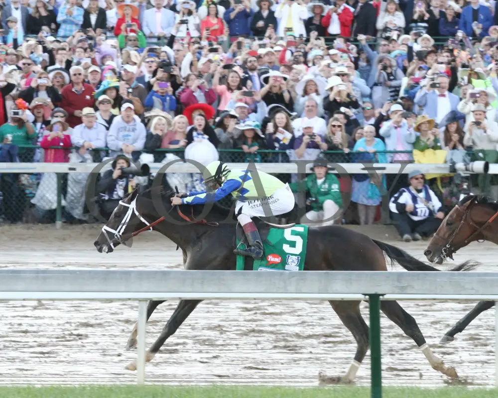 Always Dreaming - 050617 Race 12 Cd Inside Turn 2 Churchill Downs