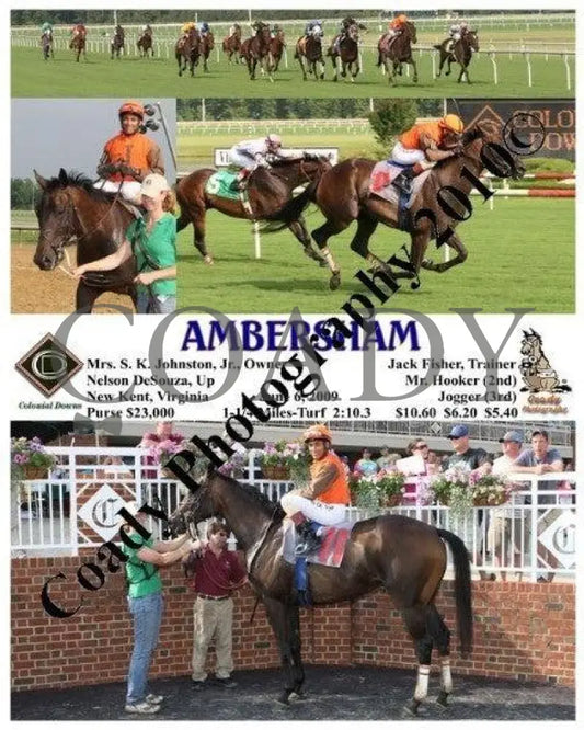 Ambersham - 6 2009 Colonial Downs