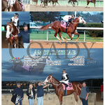 Amor Patriae - 120724 Race 10 Op Oaklawn Park