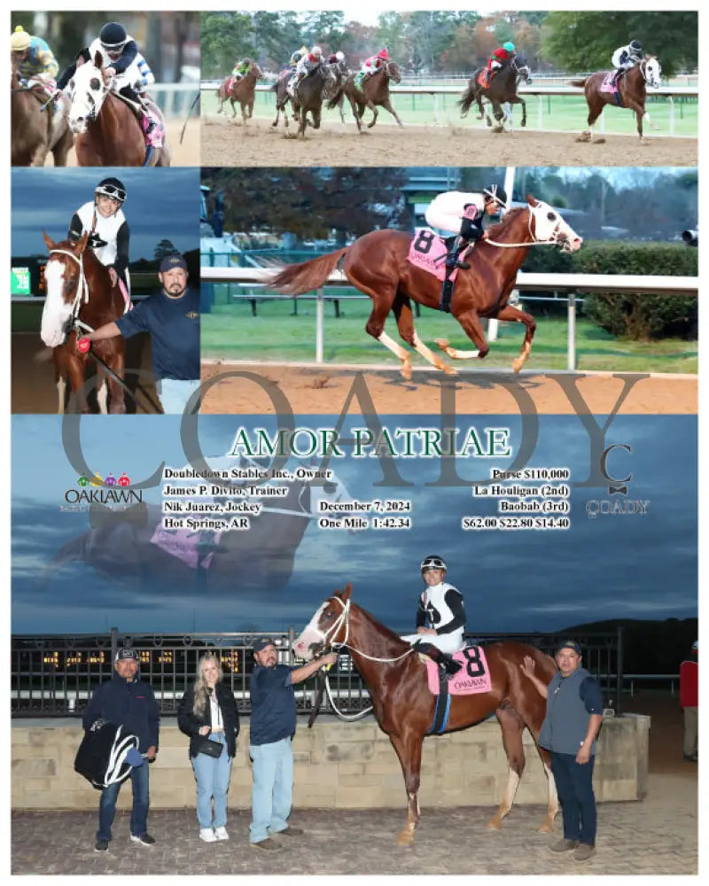 Amor Patriae - 120724 Race 10 Op Oaklawn Park