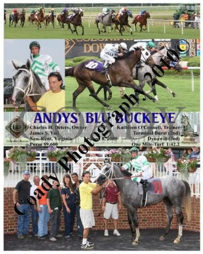 Andys Blu Buckeye - 6 8 2009 Colonial Downs
