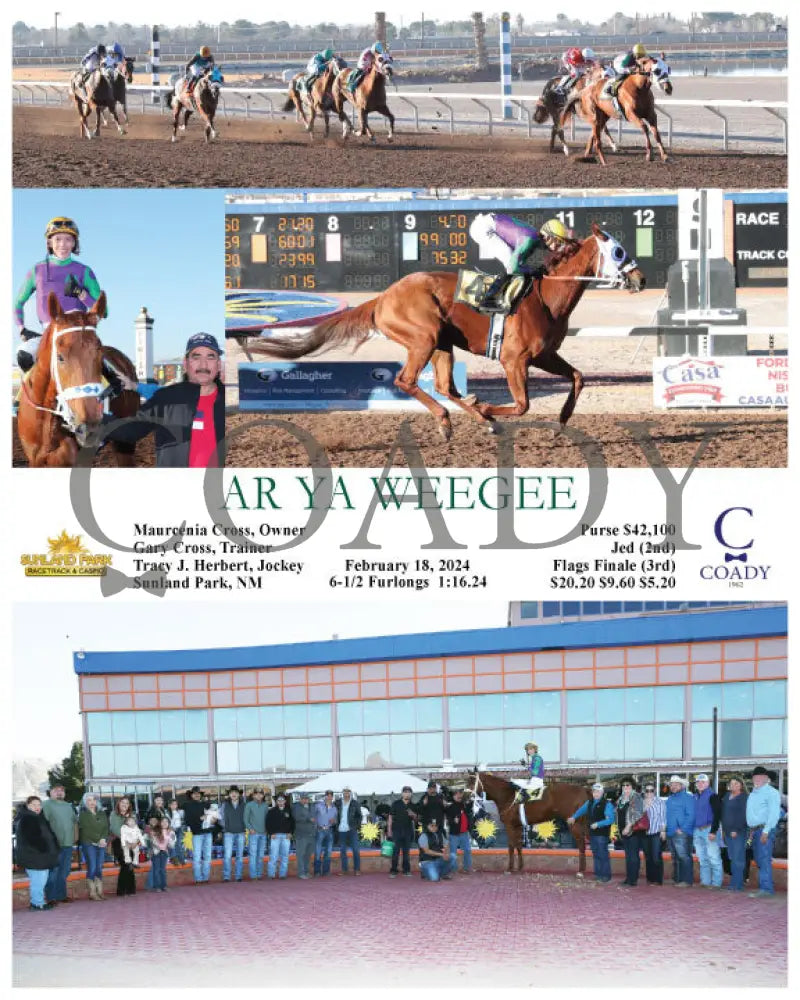 Ar Ya Weegee - 02-18-24 R10 Sun Sunland Park