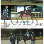 Arya Charming - 01-05-24 R08 Ct Hollywood Casino At Charles Town Races