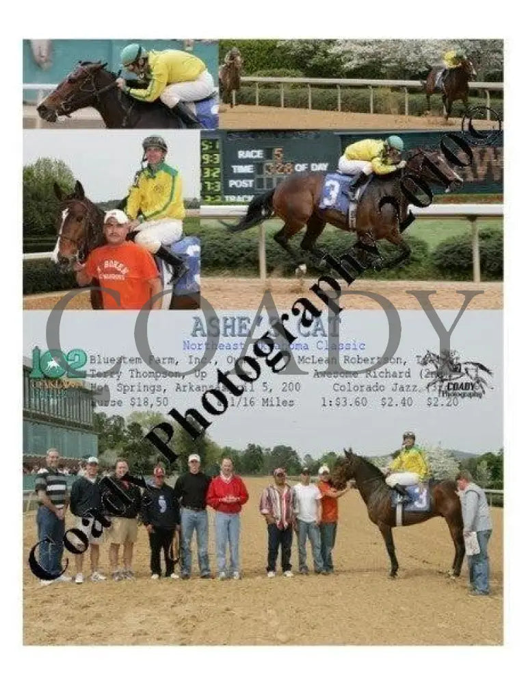 Ashe S Cat - Cisco Systems Classic 2 23 2006 Oaklawn Park