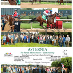Asternia - The Purple Martin Stakes 22Nd Running 03 - 16 - 24 R07 Op Oaklawn Park
