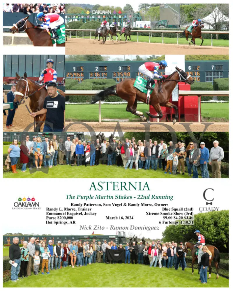 Asternia - The Purple Martin Stakes 22Nd Running 03 - 16 - 24 R07 Op Oaklawn Park