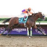 Authentic - Breeders’ Cup Classic G1 11-07-20 R12 Kee Finish 01 Keeneland