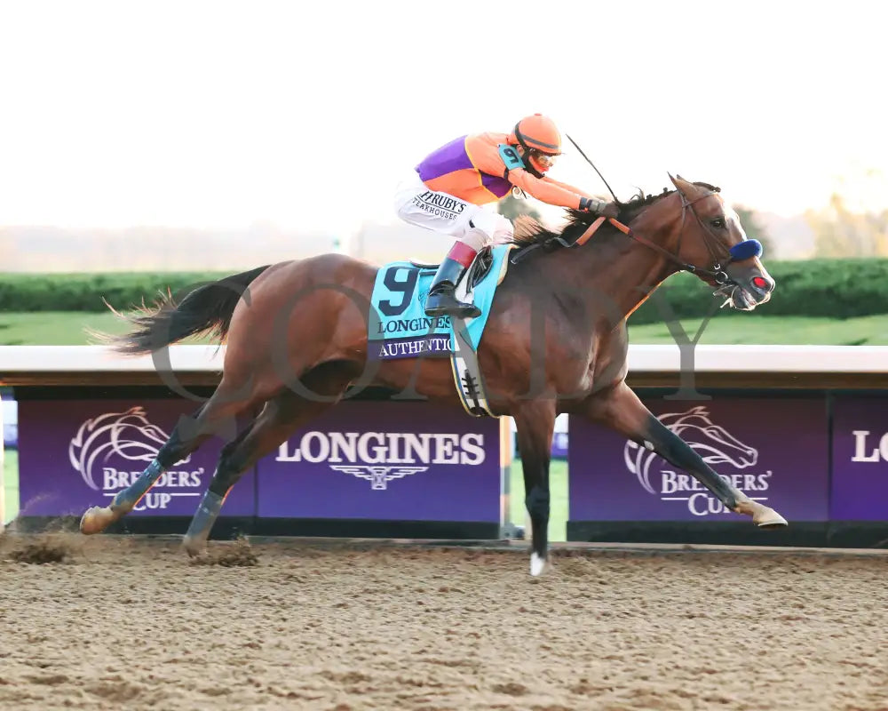 Authentic - Breeders’ Cup Classic G1 11-07-20 R12 Kee Finish 01 Keeneland