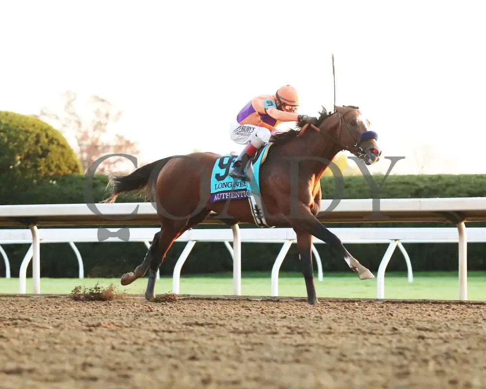 Authentic - Breeders’ Cup Classic G1 11-07-20 R12 Kee Finish 07 Keeneland