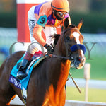 Authentic - Breeders’ Cup Classic G1 11 - 07 - 20 R12 Kee Gallop Out 01 Keeneland