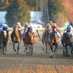 Authentic - Breeders’ Cup Classic G1 11-07-20 R12 Kee Head On 01 Keeneland