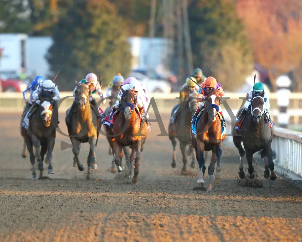 Authentic - Breeders’ Cup Classic G1 11-07-20 R12 Kee Head On 01 Keeneland