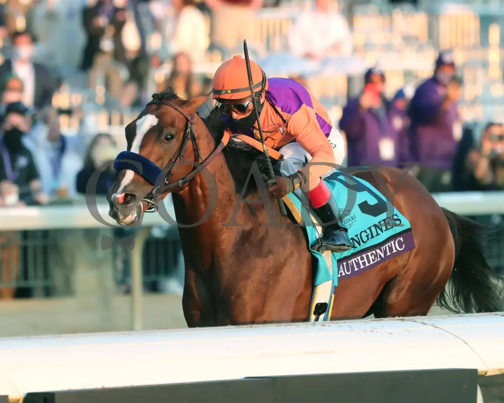 Authentic - Breeders’ Cup Classic G1 11-07-20 R12 Kee Inside Finish 01 Keeneland