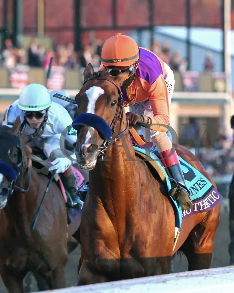 Authentic - Breeders’ Cup Classic G1 11-07-20 R12 Kee Inside Finish 02 Keeneland