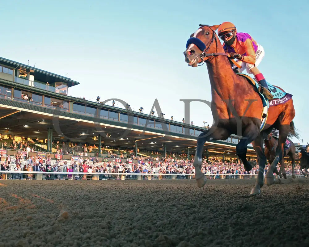 Authentic - Breeders’ Cup Classic G1 11-07-20 R12 Kee Under Rail 01 Keeneland