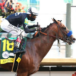 Authentic - The Kentucky Derby 146Th Running 09-05-20 R14 Cd Tight Finish 01 Churchill Downs