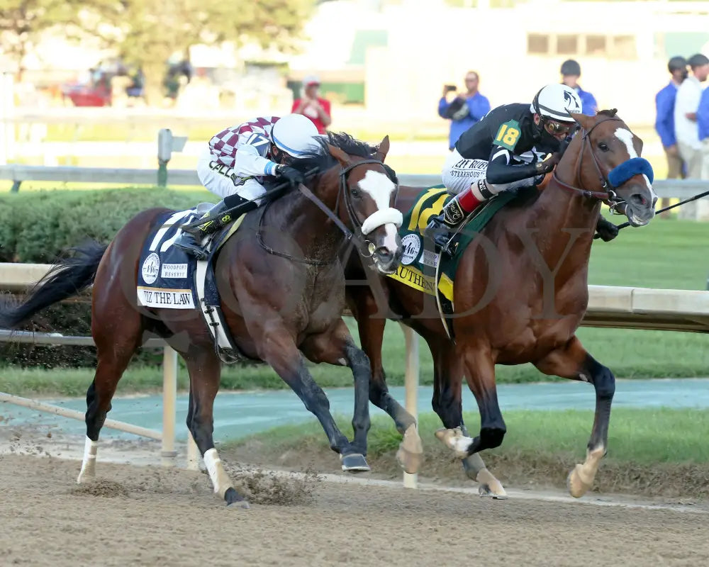 Authentic - The Kentucky Derby 146Th Running 09-05-20 R14 Cd Turn Tight 02 Churchill Downs