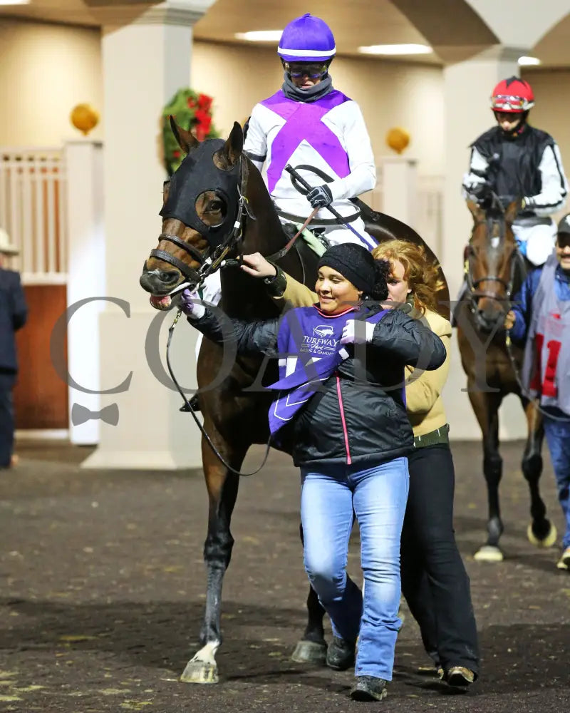 Awesome Treat - The Holiday Inaugural 38Th Running 12-14-24 R05 Tp Paddock 01 Turfway Park