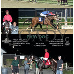 Baby Dog - 06-19-24 R08 Mnr Mountaineer Park