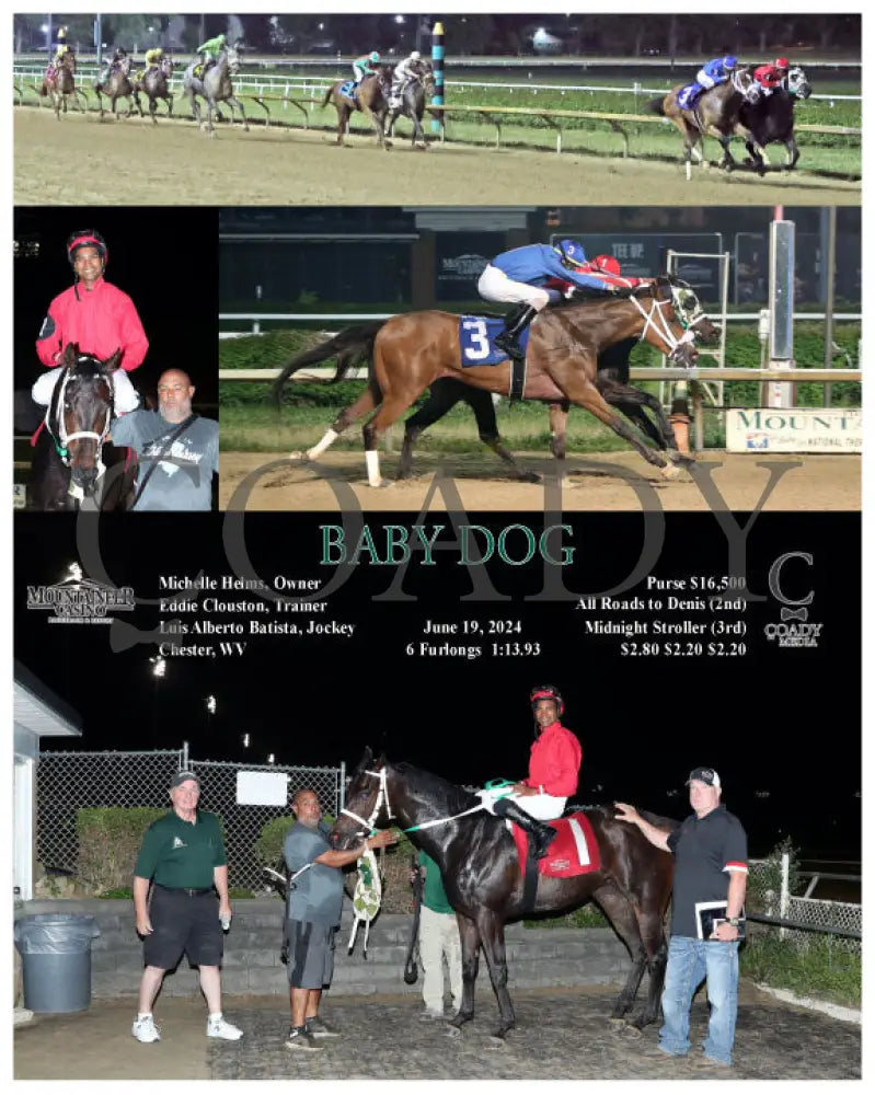 Baby Dog - 06-19-24 R08 Mnr Mountaineer Park