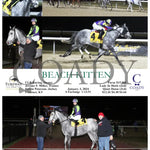 Beach Kitten - 01-03-24 R04 Tp Turfway Park