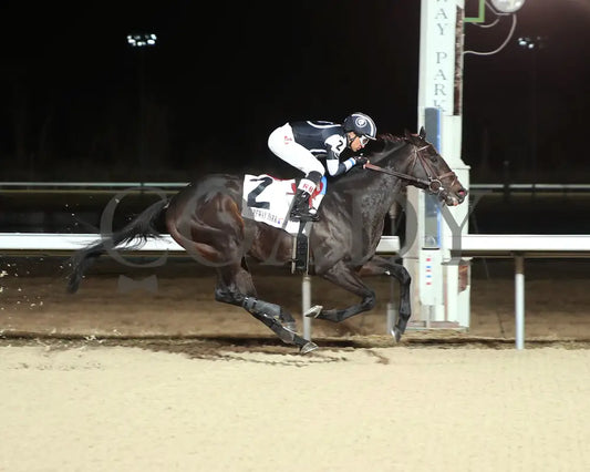 Beatbox - The Dust Commander 31St Running Of 02-19-22 R06 Tp Finish 01 Turfway Park