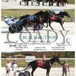 Black Button - Kentucky Sire Stakes Leg 2 10-21-24 R05 Clr Cumberland Run