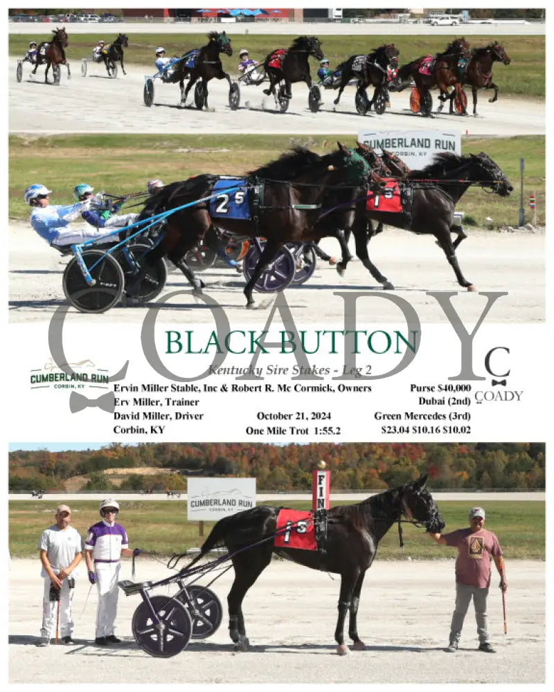 Black Button - Kentucky Sire Stakes Leg 2 10-21-24 R05 Clr Cumberland Run