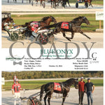 Blue Onyx - Kentucky Sire Stakes Leg 1 10-13-24 R13 Clr Cumberland Run