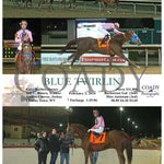 Blue Twirlin - 02-03-24 R08 Ct Hollywood Casino At Charles Town Races